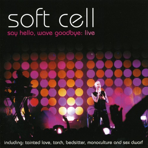 Say Hello Wave Goodbye Live