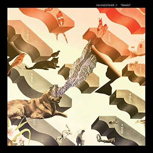 I'm Kingfisher - Transit vinyl record cover