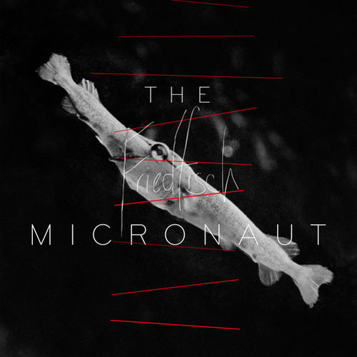 Micronaut - Friedfisch vinyl record cover