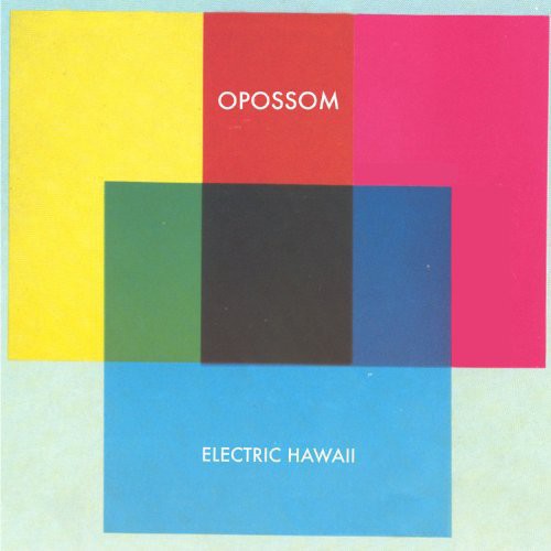 Opossom - Electric Hawaii vinyl record cover