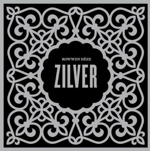 Zilver -Digi