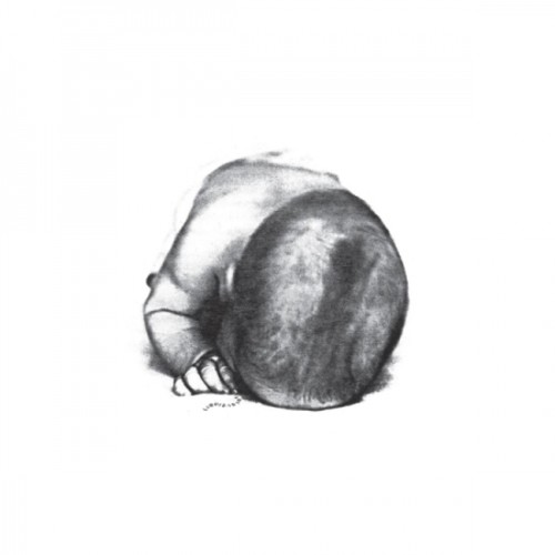 Liquid Idiot / Idiot Orchestra - Liquid Idiot / Idiot Orchestra vinyl record cover