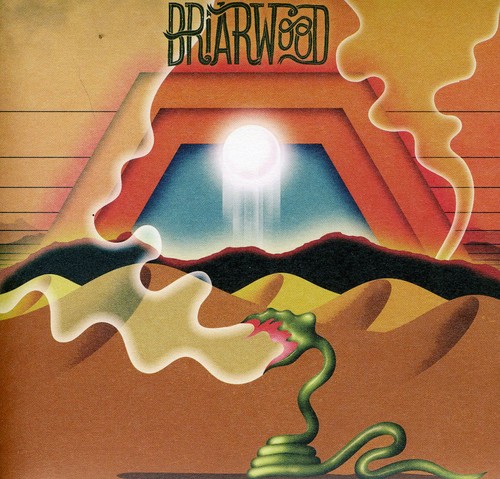 Wooden Wand - Briarwood vinyl record cover