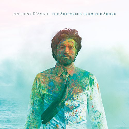 The Shipwreck From the Shore