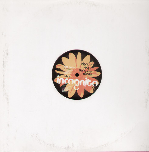 Incognito - Thats the Way of the World vinyl record cover