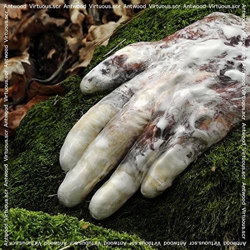Antwood - Virtuous.Scr vinyl record cover