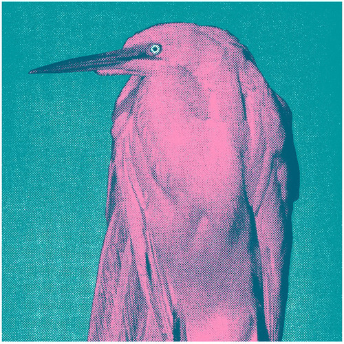Joannes - Got Needs vinyl record cover