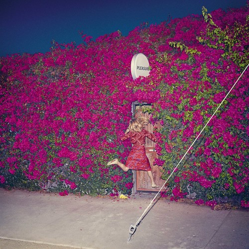Feist - Pleasure