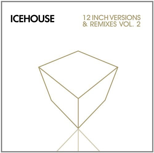 12 Inch Versions & Remixes Vol. 2