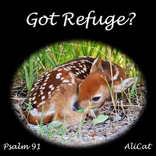 Alicat - Got Refuge? vinyl record cover