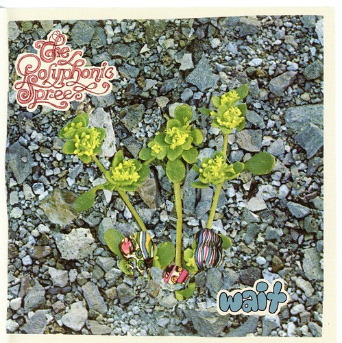 The Polyphonic Spree - Wait