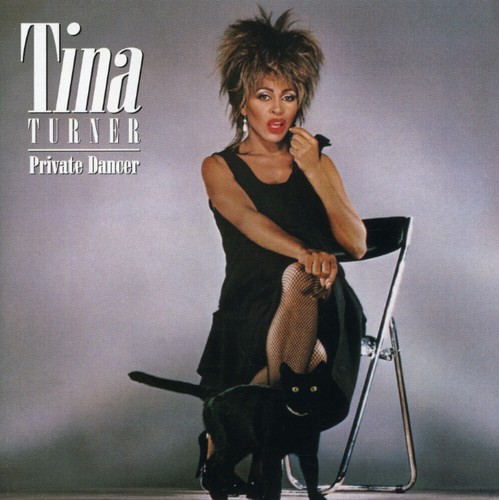 Tina Turner - Private Dancer vinyl record cover